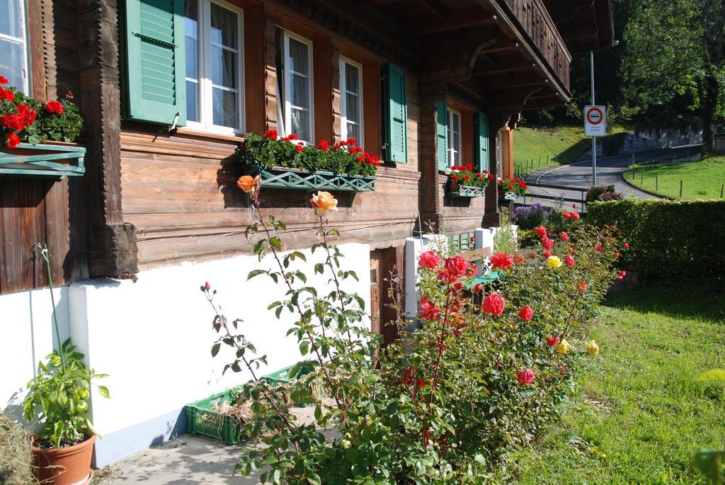 Appartement Chalet Tuftbach à Grindelwald Extérieur photo